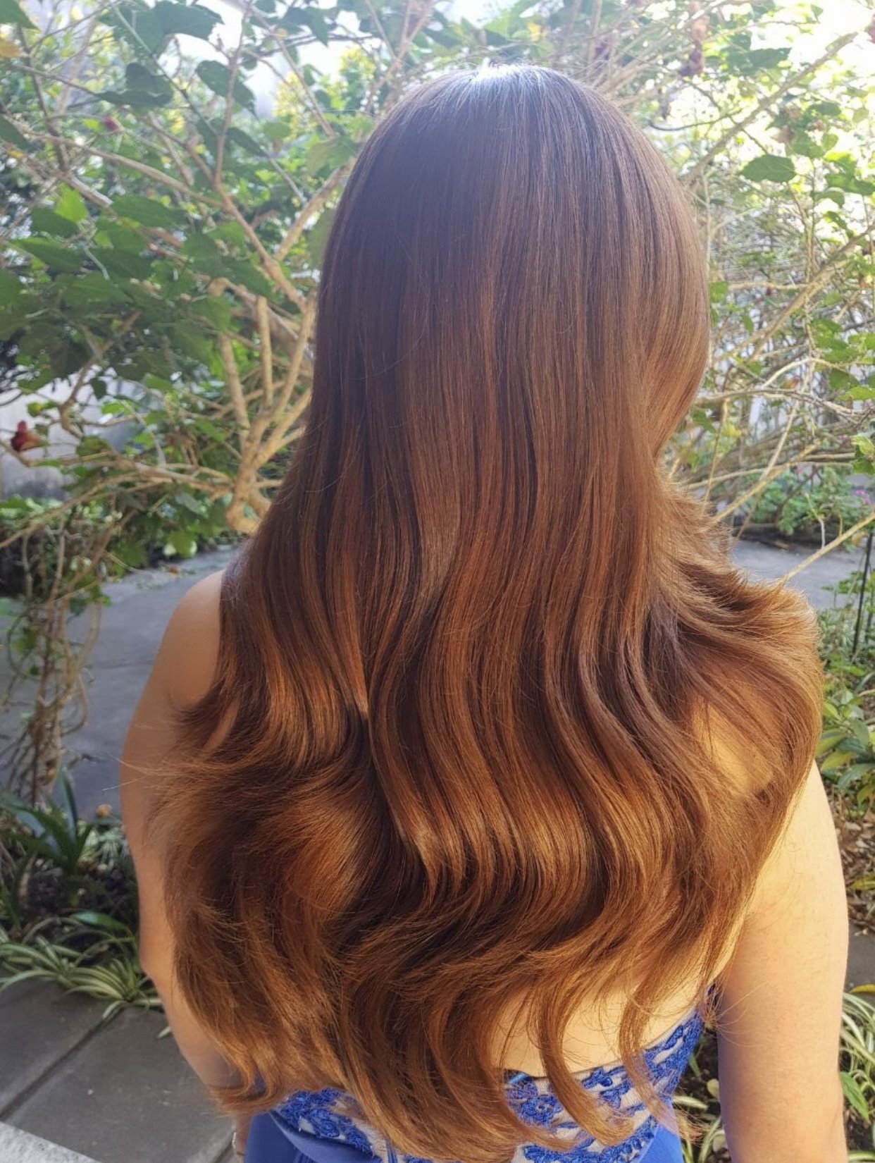 Copper Velvet pelirrojo cobre aterciopelado Guatemala