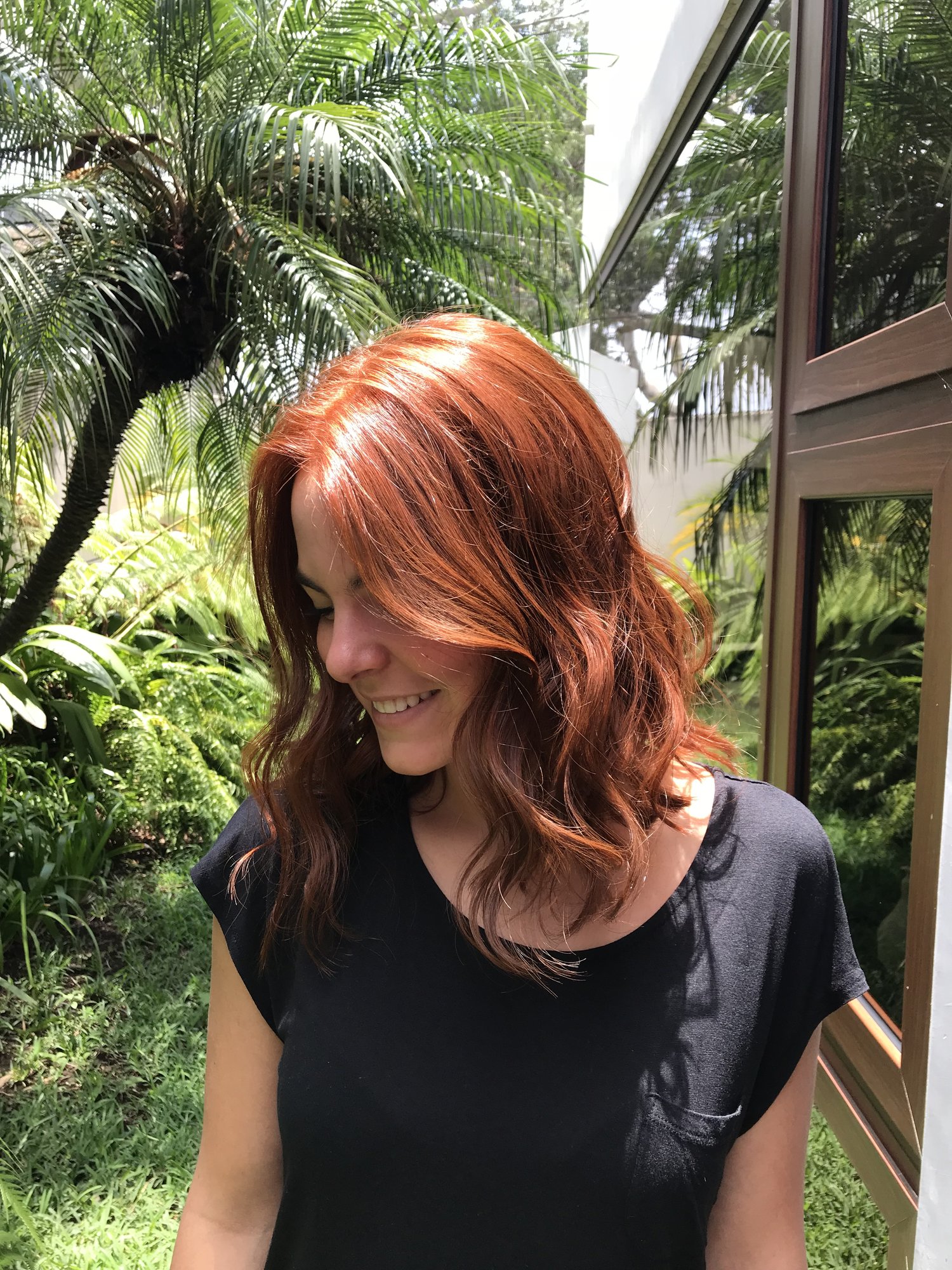 Fire Ruby pelirrojo rubí fuego Guatemala